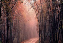 荷兰队新一期大名单:范戴克领衔,德佩、德利赫特在列.