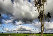 枪手新目标!记者:葡体今夏愿打7折出售约克雷斯,要价7000万欧.