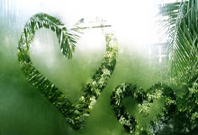 四轮不败!中超-王燊超乌龙古斯塔沃破门伤退 海港2-1梅州.